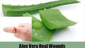 Benefits Of Aloe Vera Gel