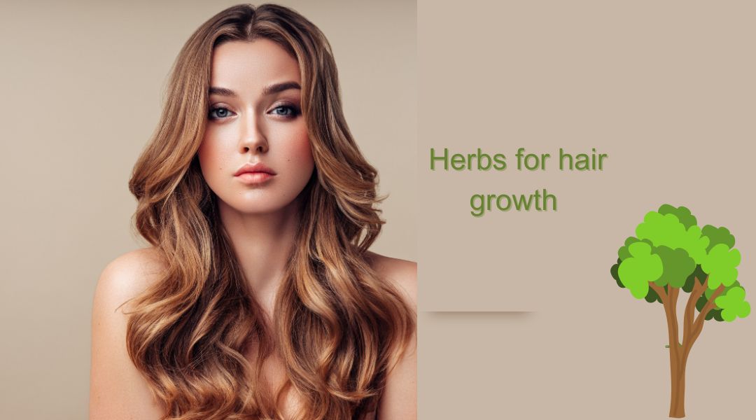 Herbs For Hair Growt