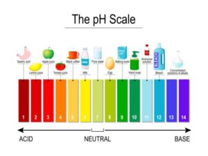 pH affect the skin