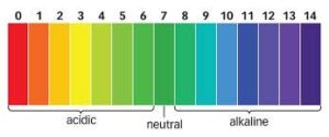 pH of skin acidic