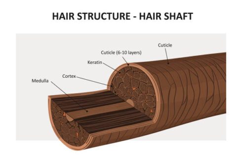 Hair str