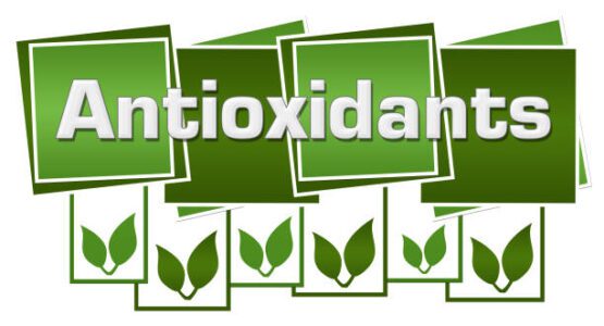 Antioxidants in Your Diet